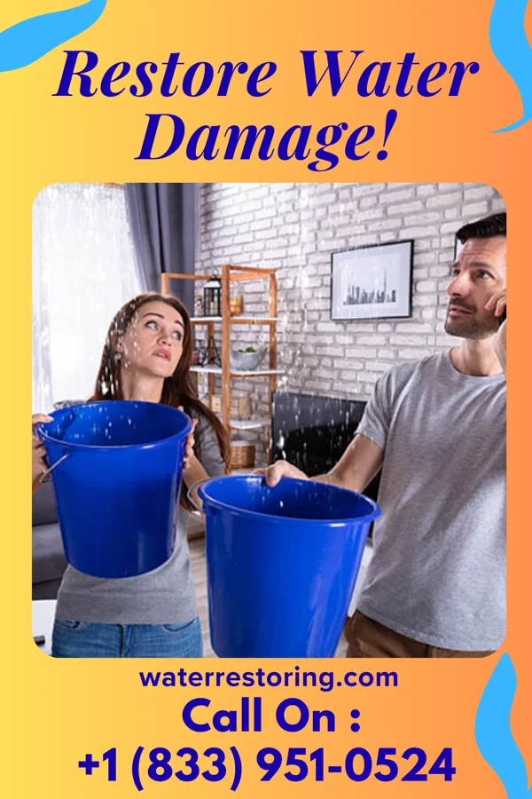 water restoration Liberty Drying Specialists Springfield