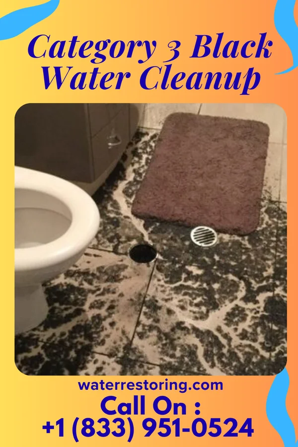 Category 3 Black Water Cleanup in Springfield, MN