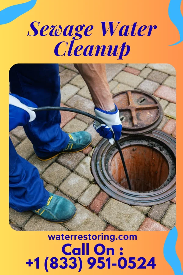 Sewage Water Cleanup in Springfield, MN